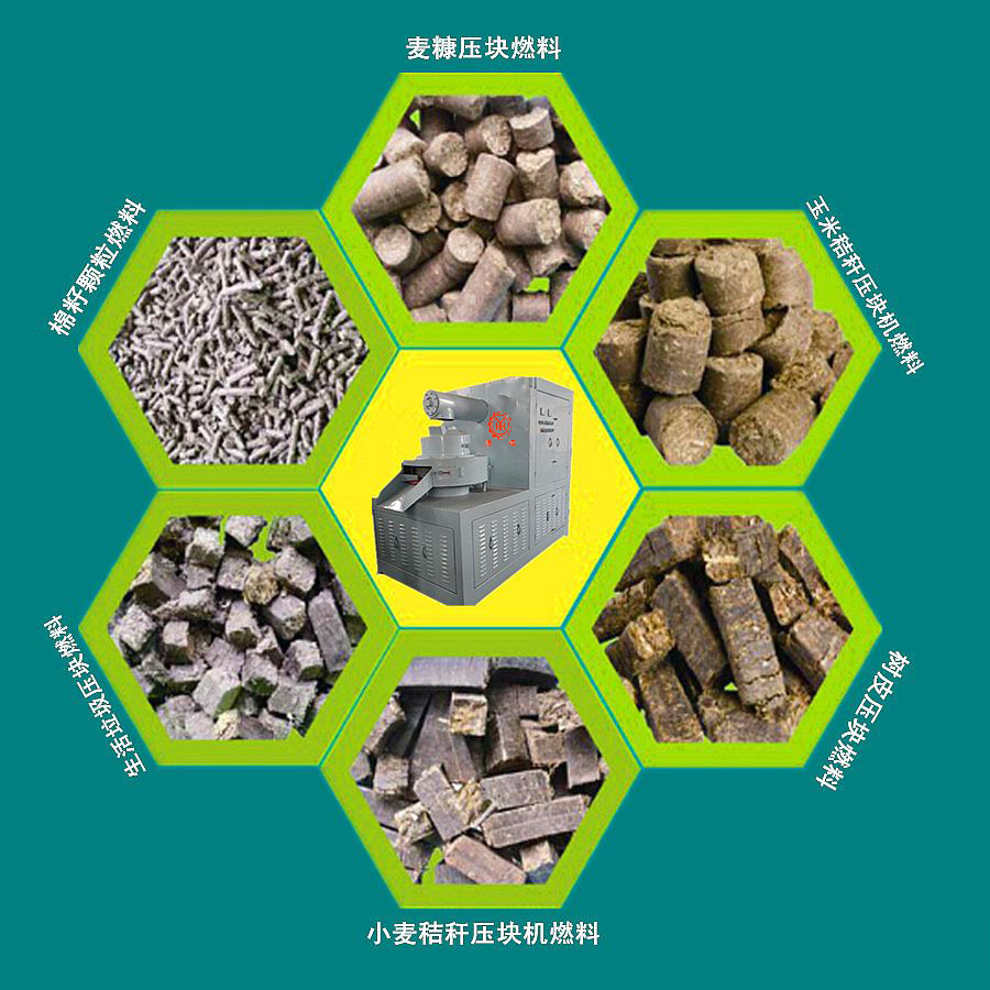 國家政策扶持，你有理由不投資生物質能源嗎？